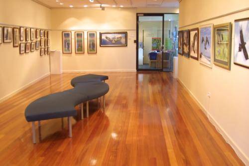 Robina art Gallery